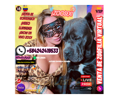 ZOOFILIA PORNO CREADORA DE CONTENIDO Y SHOW PORNO ONLINE ZOOFILIA A LA VENTA